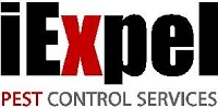 iExpel Pest Control Chelmsford 373912 Image 1
